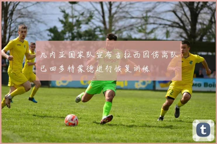 几内亚国家队宣布吉拉西因伤离队已回多特蒙德进行恢复训练